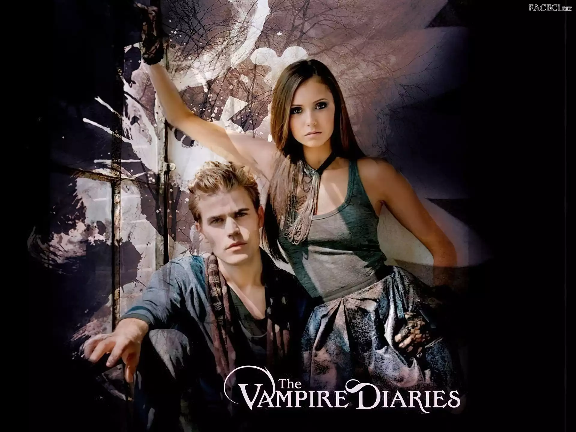 The Vampire Diaries, Nina Dobrev, Pamiętniki wampirów, Paul Wesley